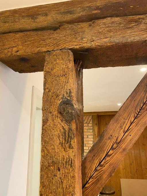 Gemuetlich & Einzigartig: Altbauloft In Edenkoben Daire Dış mekan fotoğraf